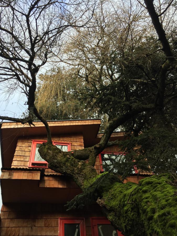 Almabosque Cabanas Puerto Varas Esterno foto