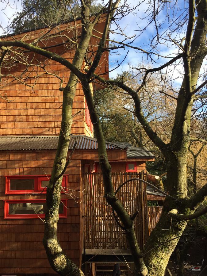 Almabosque Cabanas Puerto Varas Esterno foto