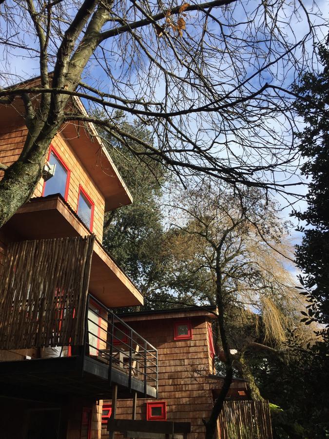 Almabosque Cabanas Puerto Varas Esterno foto