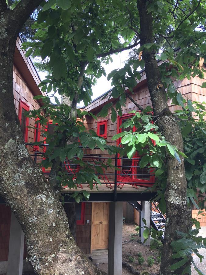 Almabosque Cabanas Puerto Varas Esterno foto